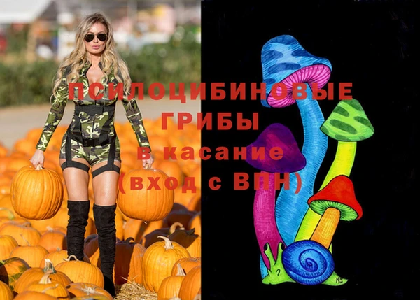 спиды Аркадак