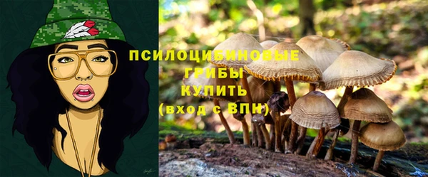 герыч Арсеньев