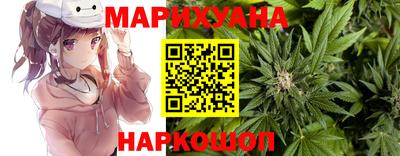 spice Дубна