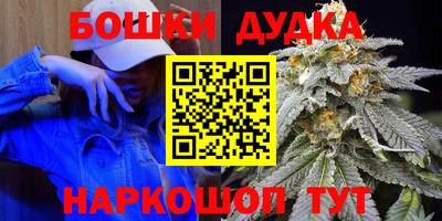 spice Дубна