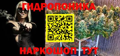 бошки Донской